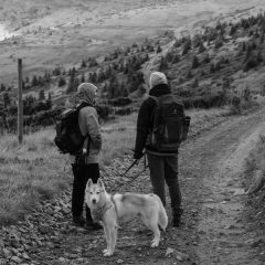 Hiking the Appalachian Trail with a Dog: The 3 Places They're Banned and How to Prepare - hero image