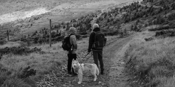 Hiking the Appalachian Trail with a Dog: The 3 Places They're Banned and How to Prepare - hero image